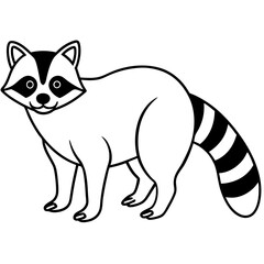 Racoon line art vector illustration 