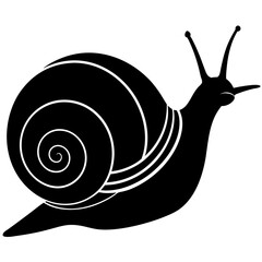 Snail silhouette vector illustration 