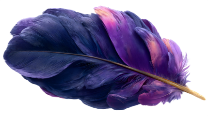 Detailed macro photography of a purple feather isolated on a background showing delicate textures isolated on white transparent background PNG cutout