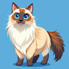 Fototapeta premium Cute Ragdoll Cat Clipart – Long-Haired Domestic Feline Art