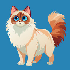 Obraz premium Cartoon Ragdoll Cat Drawing – Gentle and Beautiful Pet