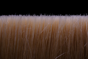 Extreme Macro Close up of a Bristle Brush Hea