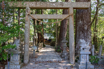 Asukacho, Kumano, Mie, Japan-16 April 2025; Torii gate and statues of the local Asuka Shrine surrounded by huge cedar trees
