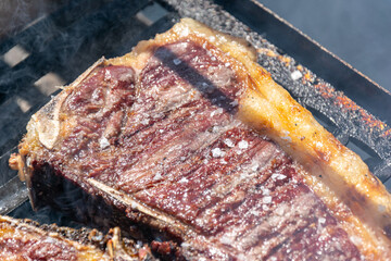 summer grilling scene fresh meat cuts sizzling on a vibrant outdoor BBQ