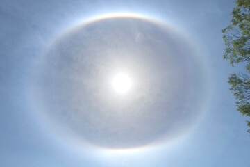 Low angle view of a sun halo caused by ice particles in the atmosphere. with tree in foreground
