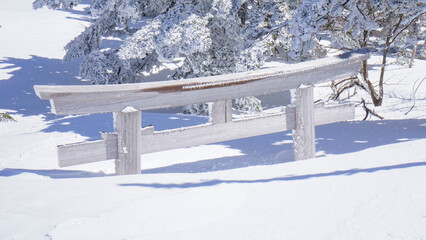 snow covered torii gate