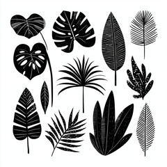 Fototapeta premium Elegant Tropical Leaf Silhouettes , white background cut out PNG
