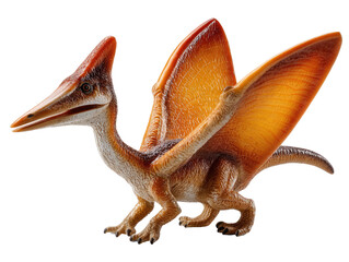 Fototapeta premium Ancient Flyer: A detailed view of the pterosaur model, showing its intricate wings and prehistoric features, evoking a sense of wonder and the age of dinosaurs.