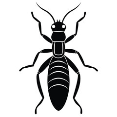 TERMITE VECTOR