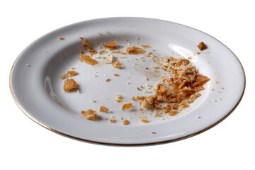 Residual crumbs on a plate: The aftermath of a delicious meal. The remaining crumbs provide a tantalizing hint of what was once a satisfying snack.