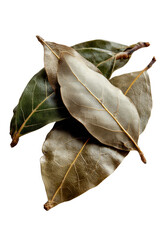 Fototapeta premium Bay Leaves: An enticing display of dried bay leaves showcases their unique texture and color variations, inviting the viewer to explore the world of culinary herbs