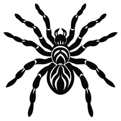 TARANTULA  VECTOR