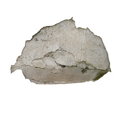 Old Damp Wall with Mold and Cracked Plaster Texture – High Resolution Damage Detail

