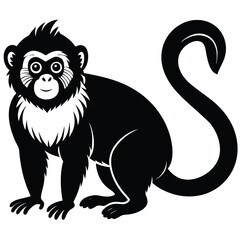 tamarin vector