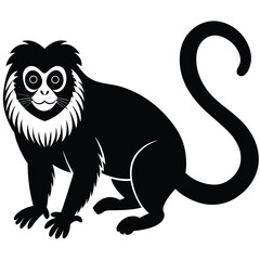 tamarin vector