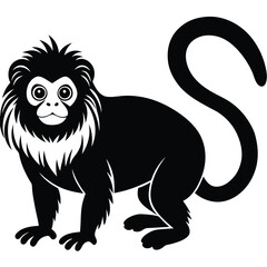 tamarin vector