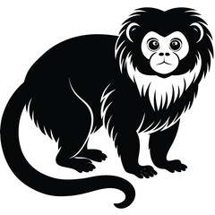 tamarin vector