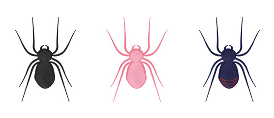 Cool and cute spider illustration set