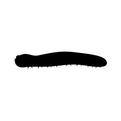 Black silhouette of insect caterpillar on white background. Isolated vector illustration.