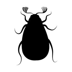 Black silhouette of insect cockchafer on white background. Isolated vector illustration