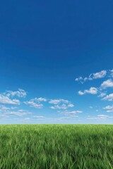 Lush green grass field under clear blue sky nature scene outdoor landscape serene environment panoramic view