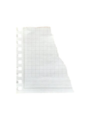 Torn element paper displayed on a transparent background showcasing a grid design and space for notes or drawings
