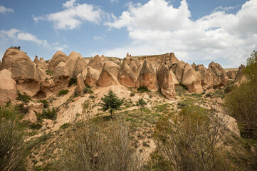 Fototapeta premium Cappadocia: Trees Among the Fairy Chimneys