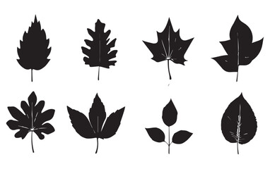 Obraz premium Eight black silhouettes of various leaf types