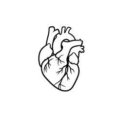 Real Heart Outline silhouette vector flat illustration design.