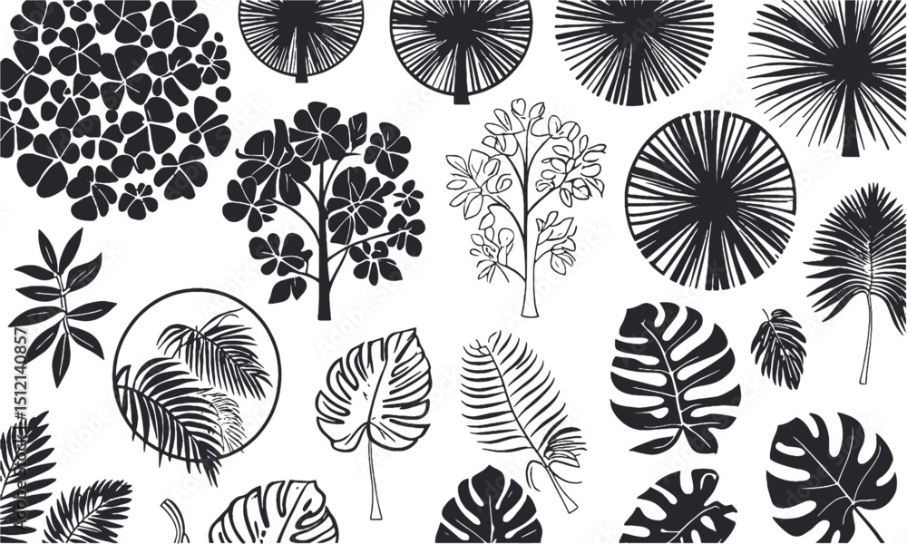 Poster modern vector illustration set of top view tree canopies and tropical leaf outlines, includes variou