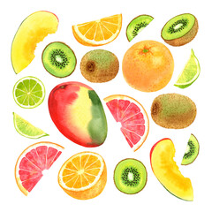 Watercolor fruit set with mango, kiwi, lime, grapefruit and orange