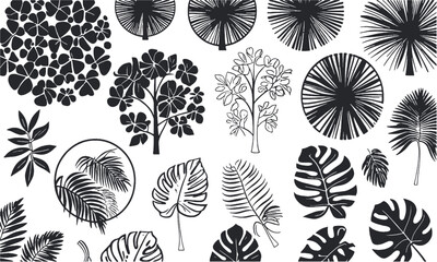 Modern vector illustration set of top view tree canopies and tropical leaf outlines, Includes various circular foliage patterns representing different tree types, easily scalable   and editable.