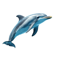 Dolphin leaping isolated