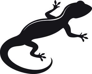 silhouette of gecko