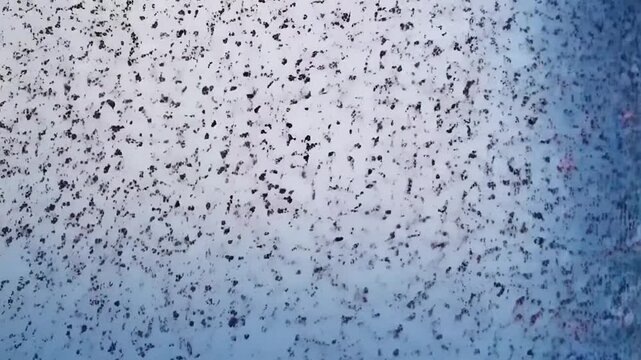 Digital Decomposition: An abstract representation of transformation and dissolution