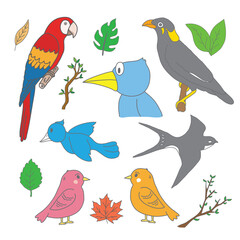 Bird Species Illustration Set – Hand Sketched Vector Art