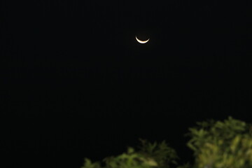 Crescent Whisper: The Moon&rsquo;s Gentle Glow in the Night"







