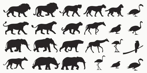 Different animal silhouettes in black highlighting the unique shapes and natural beauty of each species.