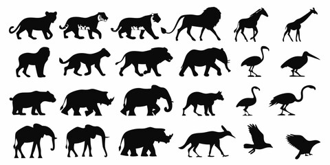 Various animals rendered in black silhouette form, celebrating the wild world’s striking visual diversity.
