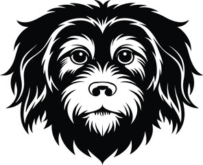 dog, animal, white, head, vector, lion