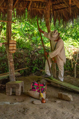 indigenous man of traditional community of Tayrona Kogui Wiwa, working with fique agave fibers in...