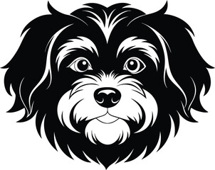 dog, animal, white, head, vector, lion