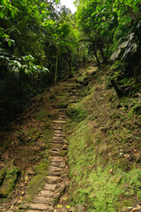 rocks footpath in the forest in lost city in sierra nevada of santa marta in colombia trek