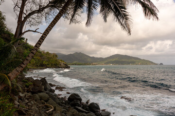 tropical beach with palm trees in caribbean sea in capurgana choco colombia travel destination 