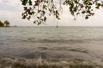caribbean beach landscape with tree and boat in aguacate beach and bay in capurgana choco colombia