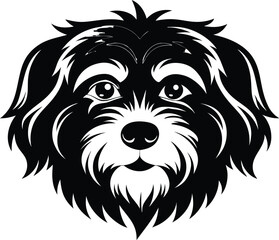 dog, animal, white, head, vector, lion