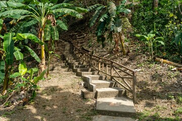 stairs in the tropical garden with banana tree plants landscape 