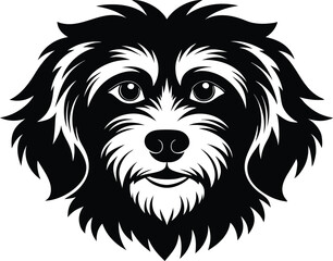 dog, animal, white, head, vector, lion