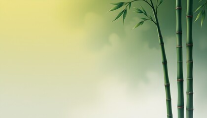 Fototapeta premium a bamboo twilight gradient background transitioning from a deep green to a soft bamboo yellow, then to a pale gray, and finishing with a misty white, with a smooth and natural blend.