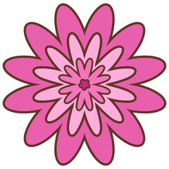 pink lotus flower